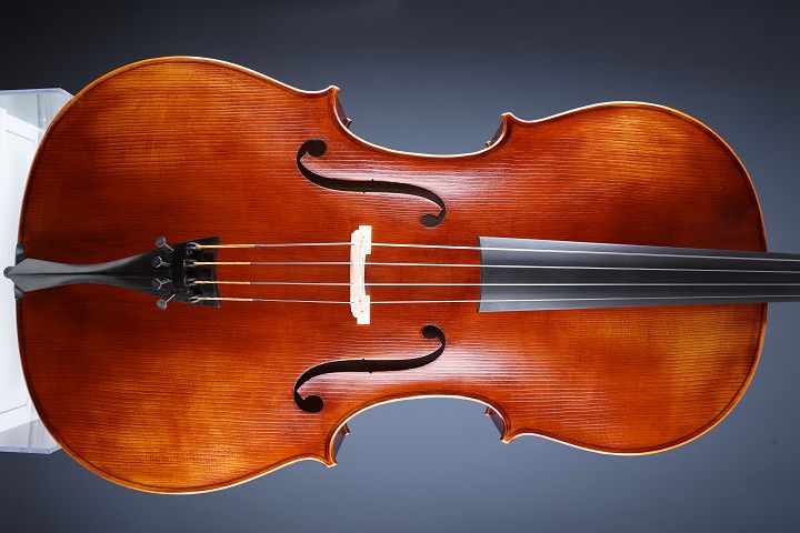 Leonhardt Rainer W. - Mittenwald 2022 - Cello "Herbstwind" - C-258